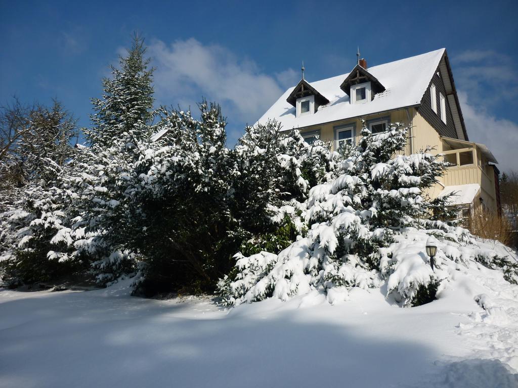 Pension Haus Martha Бад-Грунд Экстерьер фото